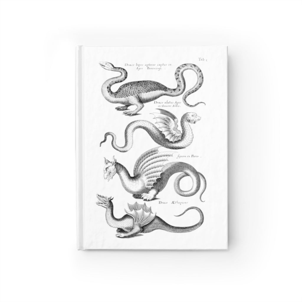 dragon journal 1