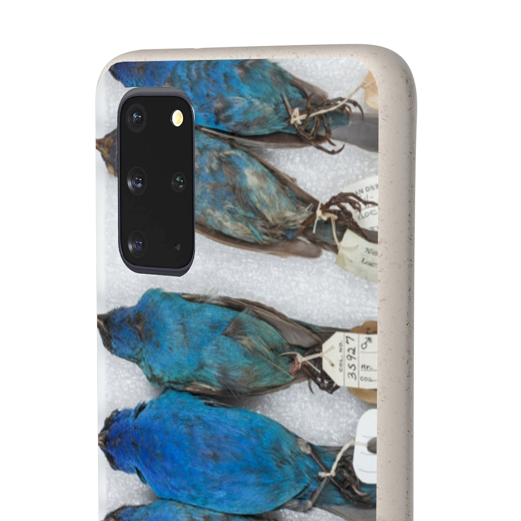 indigo bunting biodegradable phone case 7