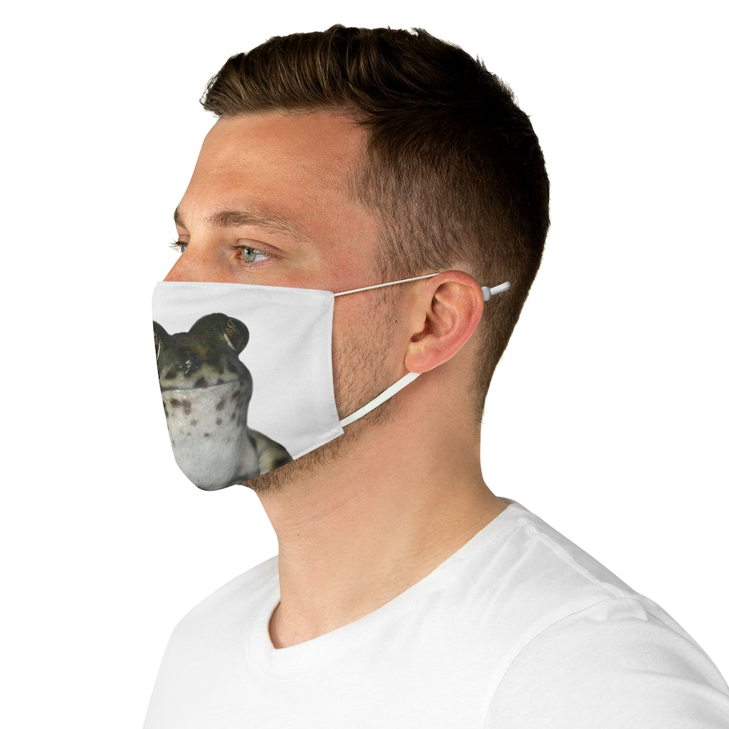 fabric face mask 5