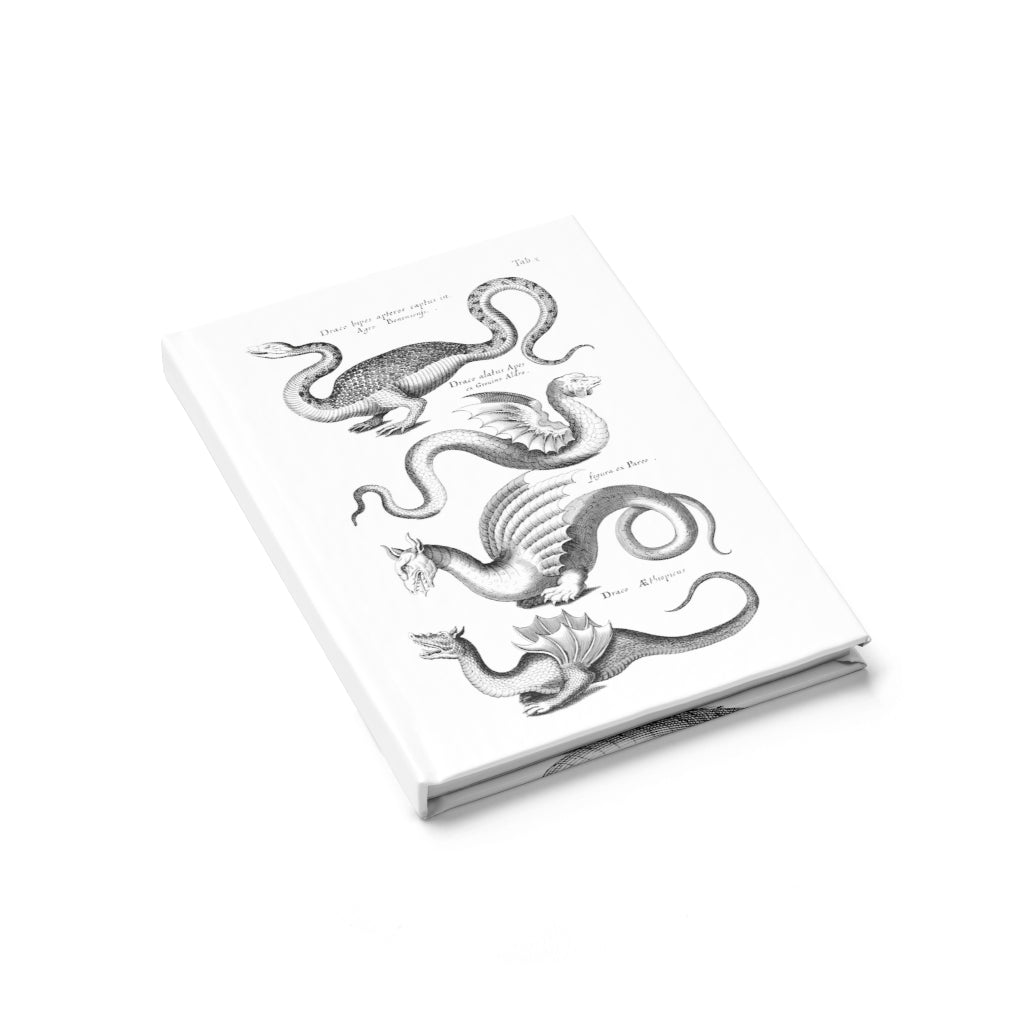 dragon journal 3