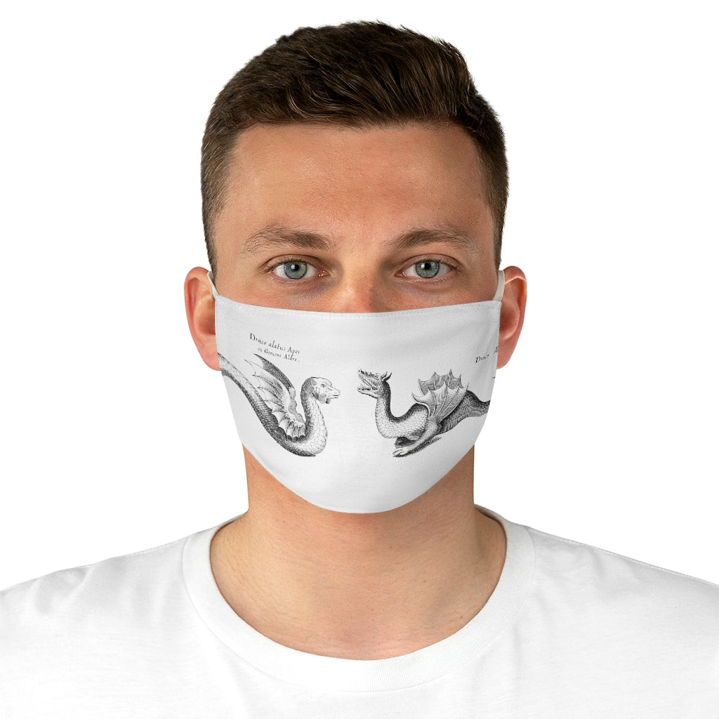 fabric face mask 4